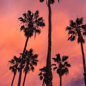 Meet your Posher, Lindsay